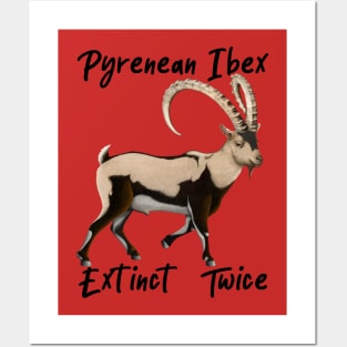 Ibex - Extinct Twice Posters and Art